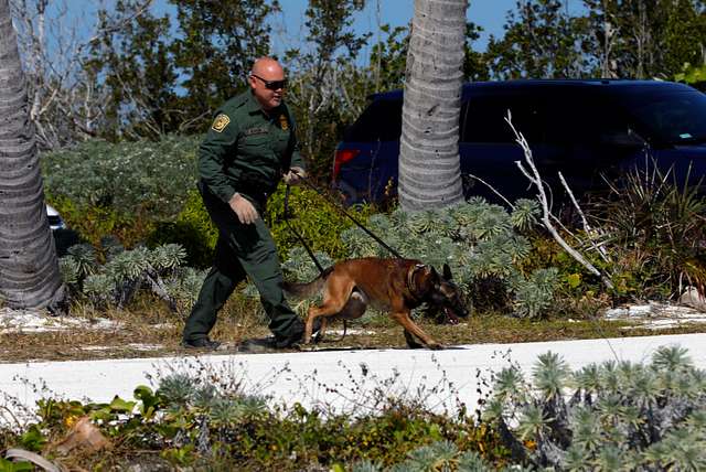 Aduanas y Protección Fronteriza de los Estados Unidos (CBP), entrenamiento de la Unidad K9 en Florida, 2021.
