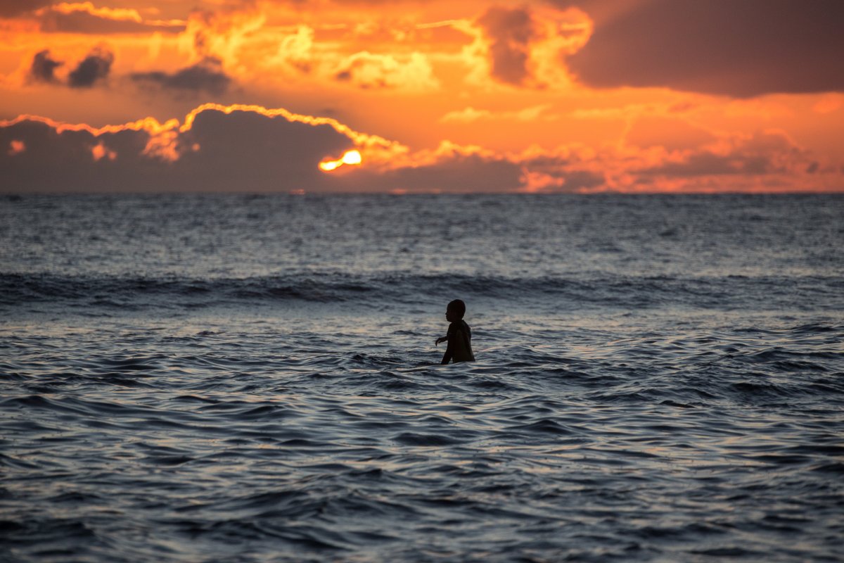 A person swimming in the ocean at sunset.