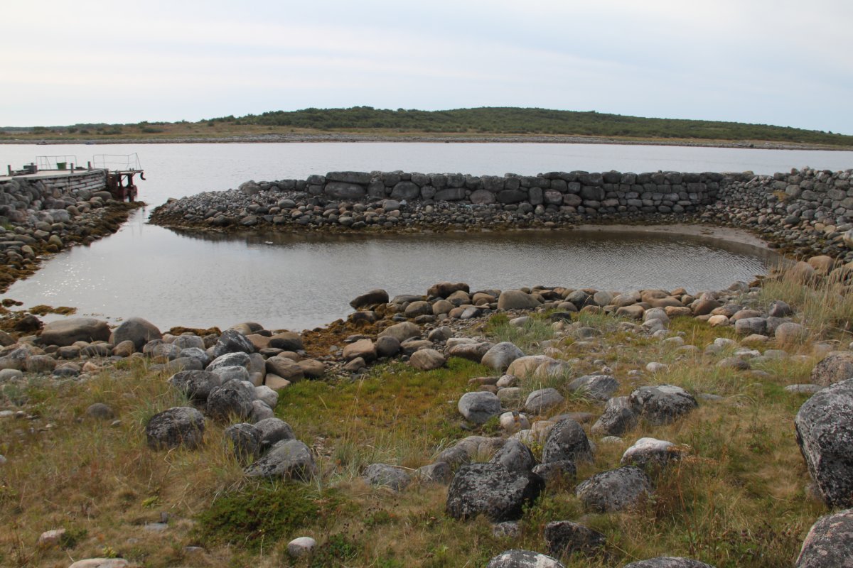 Old harbor on Big Zayatskii Island.