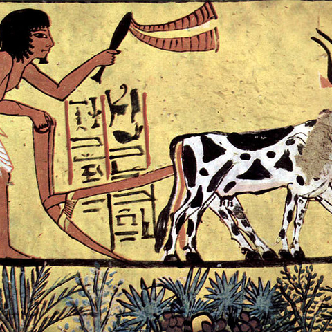 An agricultural image dated around 1200 BCE An agricultural image dated around 1200 BCE
