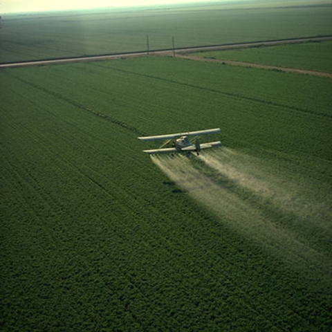 A crop duster spraying pesticide in California A crop duster spraying pesticide in California