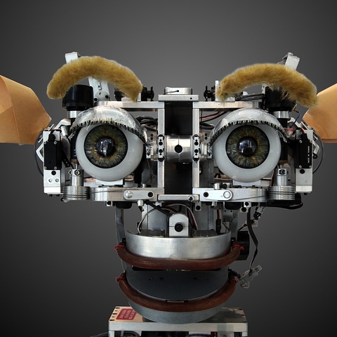 Kismet is a robot that can produce a range of human facial expressions.